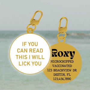 Custom Engraved Dog Tag For Dogs , Personalized Dog Name Tag, Engraved Pet ID Tag, Steel Round Pet Tag, Pet, Dog, ID Tag, Collar Tag, Gift