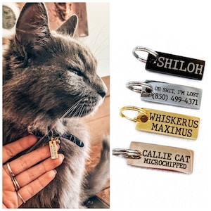 Cat collar sale engraved tag