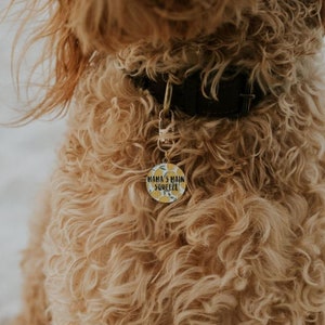 Lemon Dog Tag Gold Pet ID Tag Custom Name Tag for Puppy Dog - Etsy