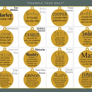 May include: A collection of sixteen circular gold-coloured metal pet identification tags arranged in a grid. Each tag features a unique name, contact information, and custom typography. The tags include a small loop at the top for attachment.