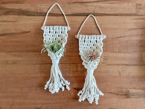 Macrame Air Plant Holder, Dried Flower Holder, Indoor Garden Plant Hanger, Boho Wall Vase, Wall Plant Hanger, Hanging Wall Pocket Il_570xn