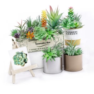 Artificial Succulent Plants,16 pc, Unpotted Succulents, Faux Succulents, Succulents Housewarming, Fake Succulents Plants, Set Of Succulents,