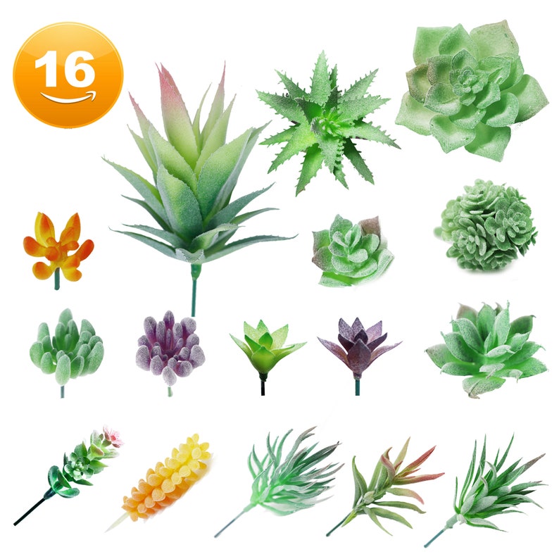 K&ouml;nnte beinhalten: Ein Set mit 16 k&uuml;nstlichen Sukkulenten in verschiedenen Farben und Stilen, darunter Gr&uuml;n, Lila und Orange. Die Pflanzen sind auf einem wei&szlig;en Hintergrund angeordnet.