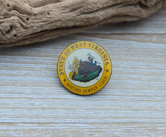 Vintage West Virginia Pin. State Seal. Gift for D… - image 5