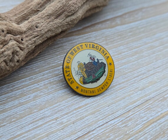 Vintage West Virginia Pin. State Seal. Gift for D… - image 4