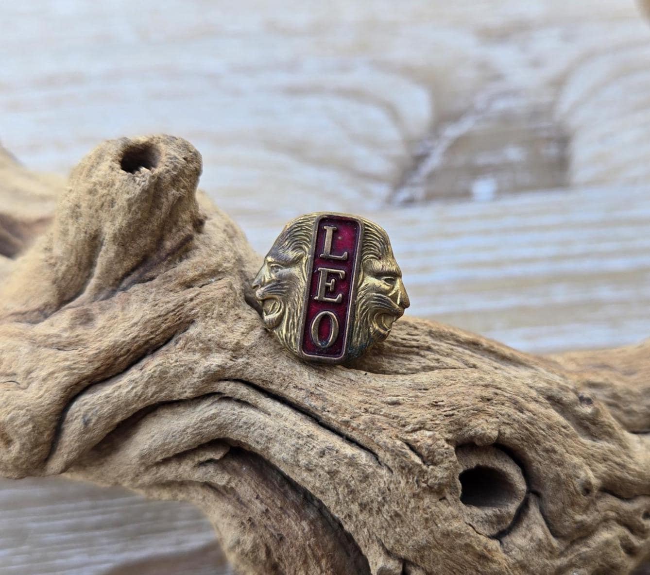 Leo Accessories - Etsy Canada