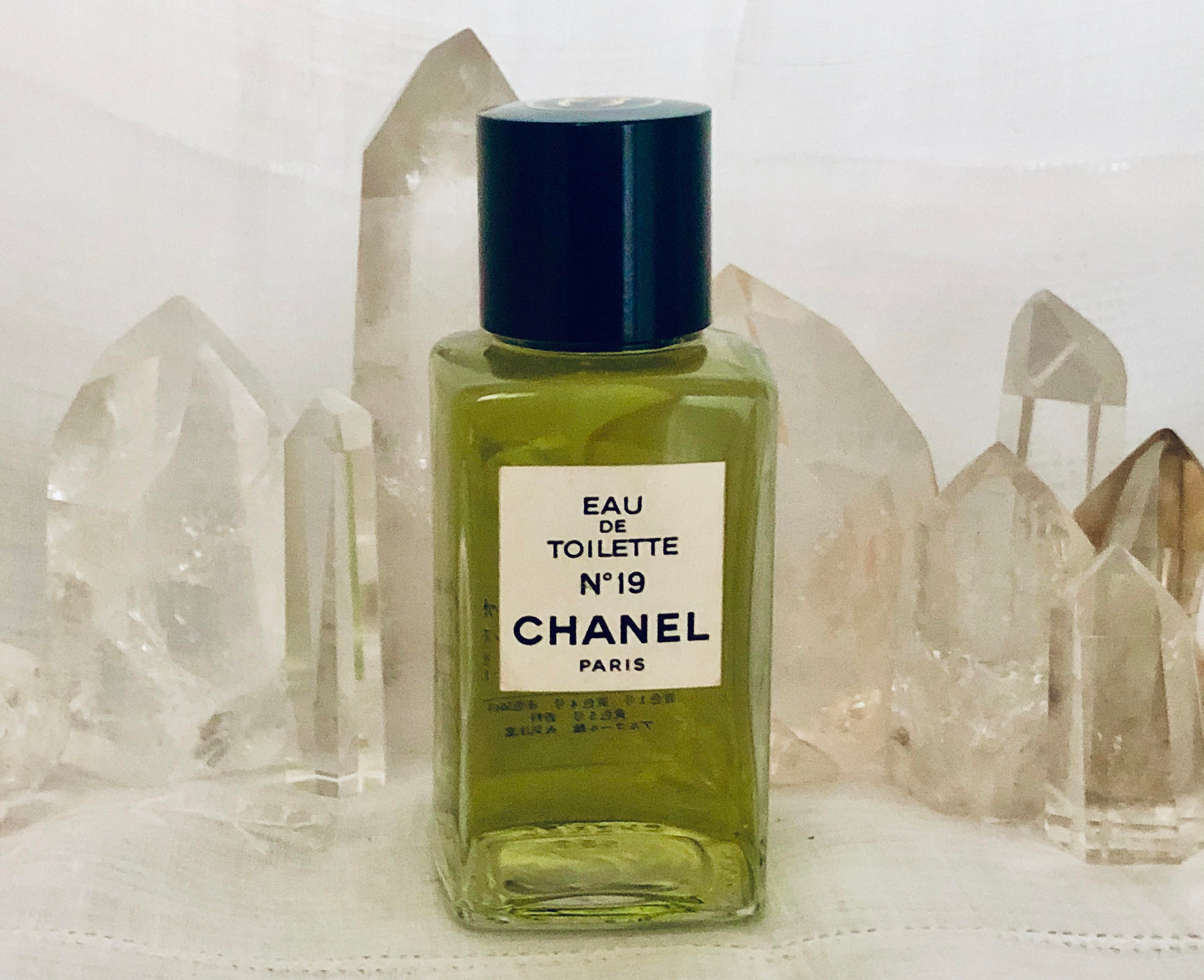 Chanel No. 19 100 Ml. or 3.51 Oz. Flacon Eau De Toilette -  Israel