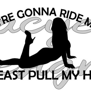 If You&#39;re Gonna Ride My Ass At Least Pull My Hair!! SVG Instant File Window Decal Bumper Sticker