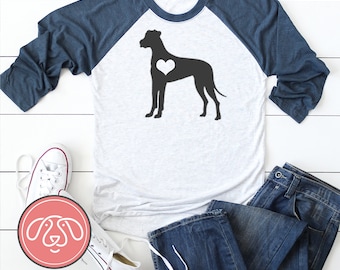 Great Dane Raglan