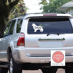 border collie Decal