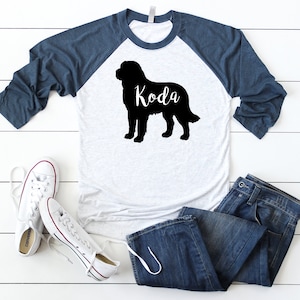 St. Bernard Raglan