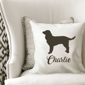 American Water Spaniel Cover