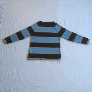 May include: A striped sweater with brown and blue horizontal stripes. The sweater has a crew neck and long sleeves.