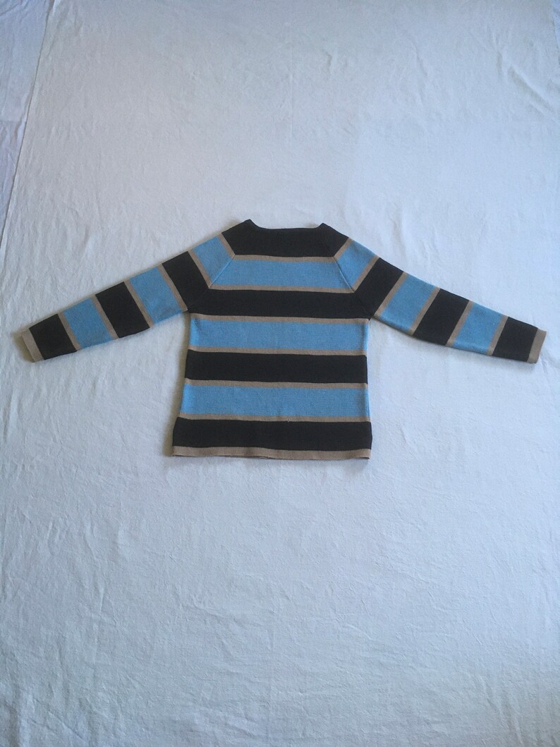 May include: A striped sweater with brown and blue horizontal stripes. The sweater has a crew neck and long sleeves.