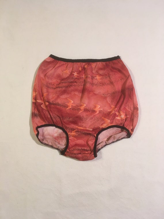 Vintage 70s High Waist Womens Underwear Birds Fly in the Cloudy Red Sky  Psychedelic Nylon Lingerie Briefs -  Canada