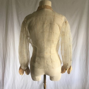 May include: A sheer, ivory-colored blouse with gold thread detailing. The blouse has a fitted bodice and long sleeves with gathered cuffs.