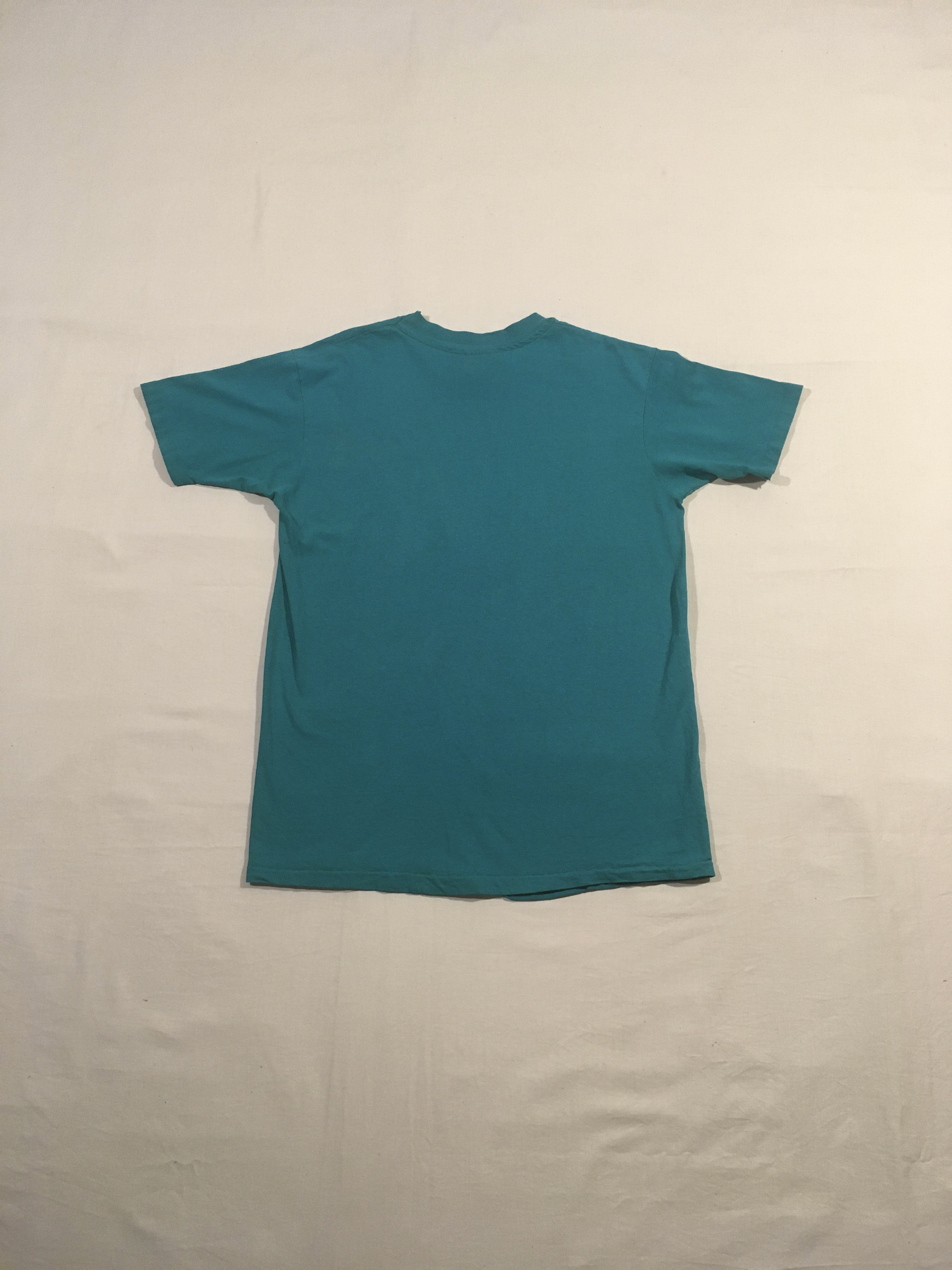 Vintage 90s Hanes Beefy T Teal Cotton Weave Us Together in Unity 
