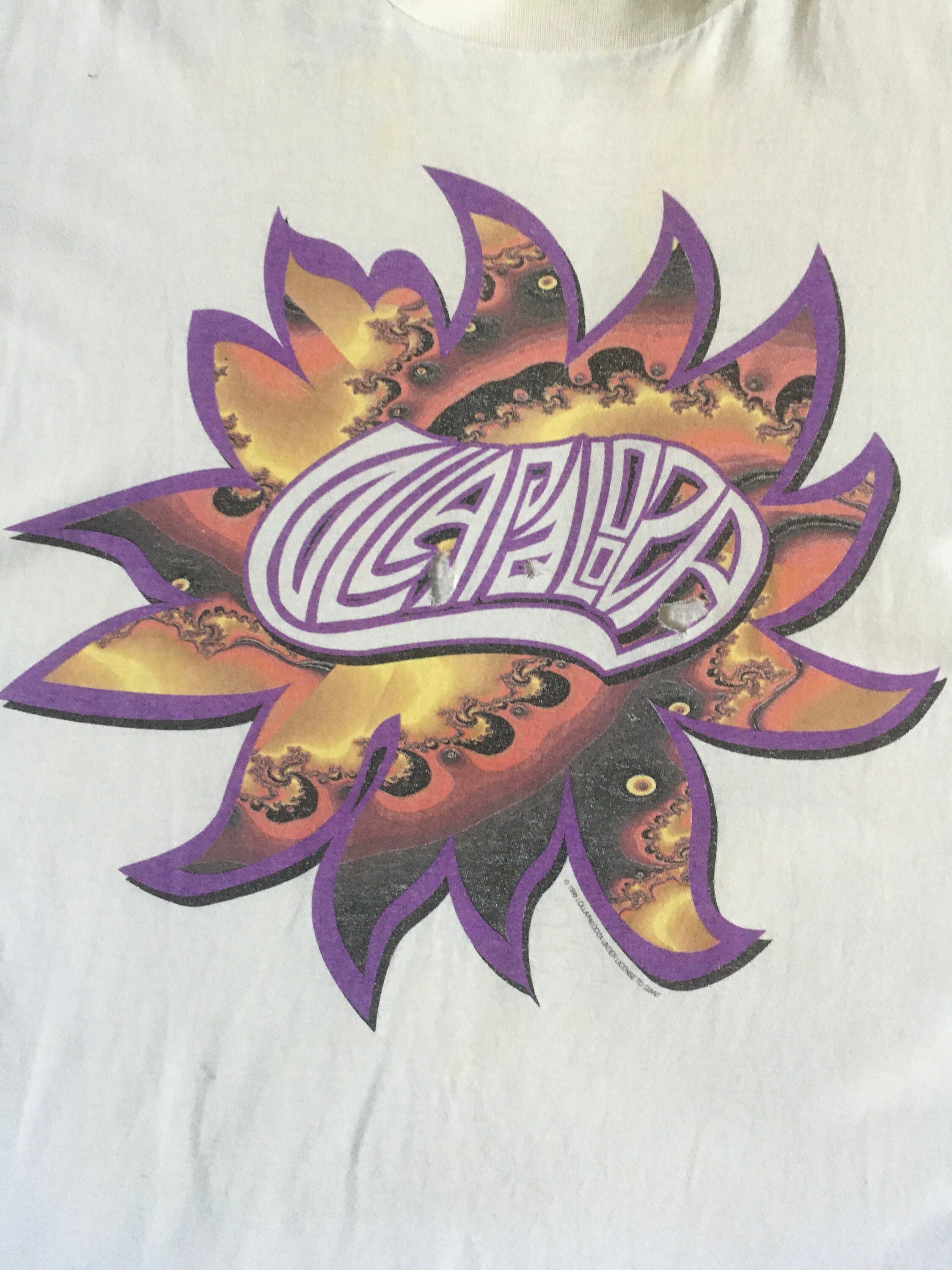 トップス LOLLAPALOOZA 1995 1995 Lollapalooza Tee – Redeux Vintage