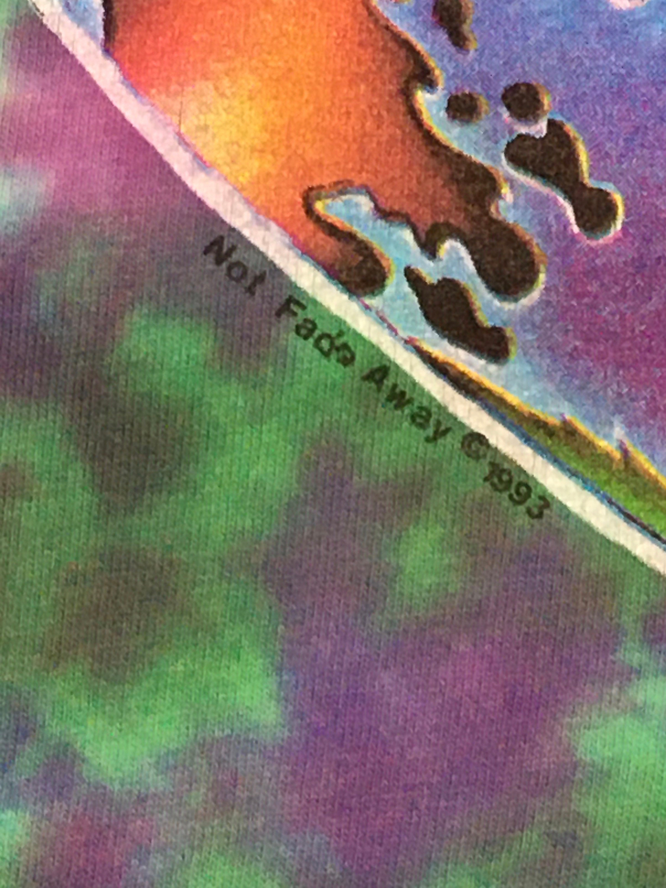 Vintage 90s Michael Mike Dubois Not Fade Away 1993 Tie Dye