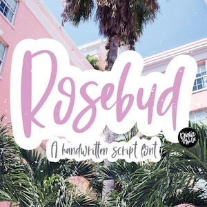 May include: A pink handwritten script font called "Rosebud" with a white background and a black circle with the text "Dixie Taco" in white.