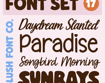 Bold Script Font Set 17: Handwriting, Calligraphy, Cricut Planner Fonts, Display Fonts