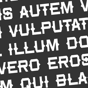Wild and Western Font Bundle - Cowgirl Cowboy Rodeo Font Bundle, Font Bundle for Cricut, font bundles, cricut fonts, goodnotes fonts bundle image 9