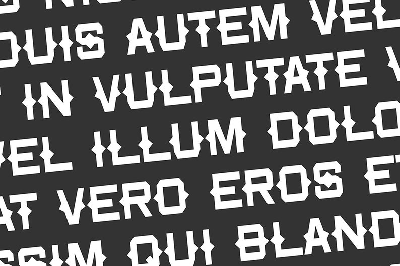 Wild and Western Font Bundle - Cowgirl Cowboy Rodeo Font Bundle, Font Bundle for Cricut, font bundles, cricut fonts, goodnotes fonts bundle image 9