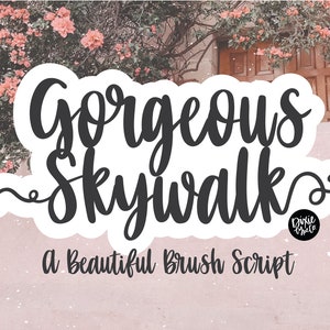 May include: A white sticker with a black brush script font that reads "Gorgeous Skywalk" with a small circle logo that reads "Dixie Chic" below the text. The text "A Beautiful Brush Script" is below the sticker.