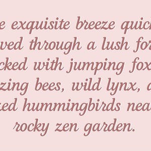 May include: Text on a light pink background reads: "The exquisite breeze quickly moved through a lush forest packed with jumping foxes, buzzing bees, wild lynx, and dazed hummingbirds near a rocky zen garden."