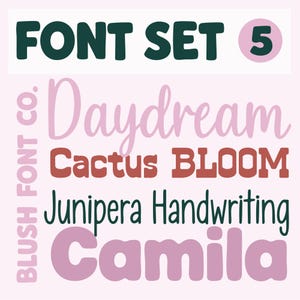 FONT SET 5: Cute Handwriting Fonts, Bold Fonts, Chunky, Font Bundle Cricut, fonts for planners, bubble fonts, cursive fonts, western fonts