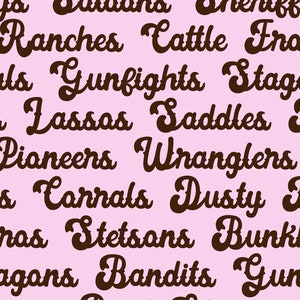 Wild and Western Font Bundle - Cowgirl Cowboy Rodeo Font Bundle, Font Bundle for Cricut, font bundles, cricut fonts, goodnotes fonts bundle image 5