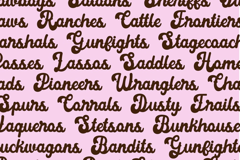 Wild and Western Font Bundle - Cowgirl Cowboy Rodeo Font Bundle, Font Bundle for Cricut, font bundles, cricut fonts, goodnotes fonts bundle image 5