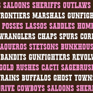 Wild and Western Font Bundle - Cowgirl Cowboy Rodeo Font Bundle, Font Bundle for Cricut, font bundles, cricut fonts, goodnotes fonts bundle image 7