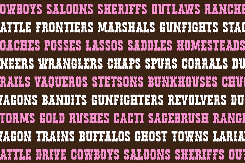 Wild and Western Font Bundle - Cowgirl Cowboy Rodeo Font Bundle, Font Bundle for Cricut, font bundles, cricut fonts, goodnotes fonts bundle image 7