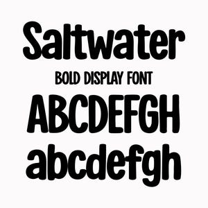 May include: Black "Saltwater" font with the words "BOLD DISPLAY FONT" below it. The uppercase and lowercase letters A through H are displayed in a bold, rounded font.