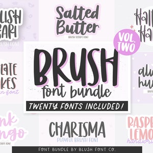 20 FONTS! BRUSH Font Bundle Vol 2, Font Bundle for Cricut, Font bundle for crafters, handwriting fonts, cute fonts, girly, procreate fonts