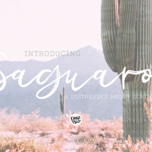Puede incluir: Una fuente de pincel blanco llamada "Saguaro" con un efecto desgastado, mostrada sobre un fondo de paisaje desértico con un cactus alto en primer plano.