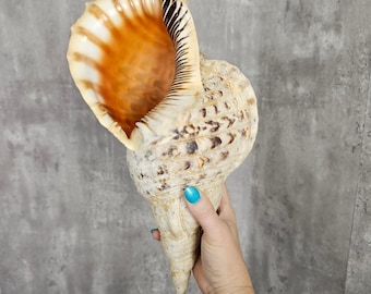 現在、この商品の在庫はありません - Etsy