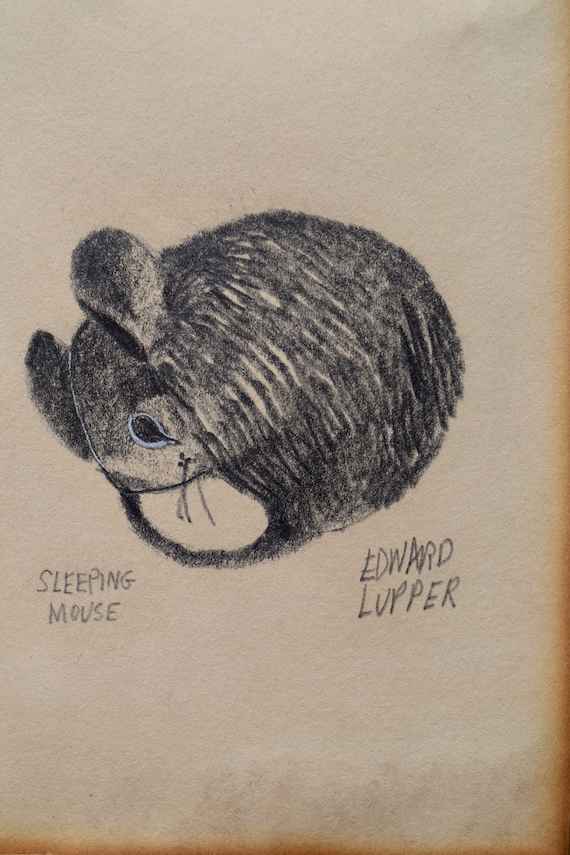 Edward Lupper Signed Drawing Sleeping Mouse 1960s - Etsy