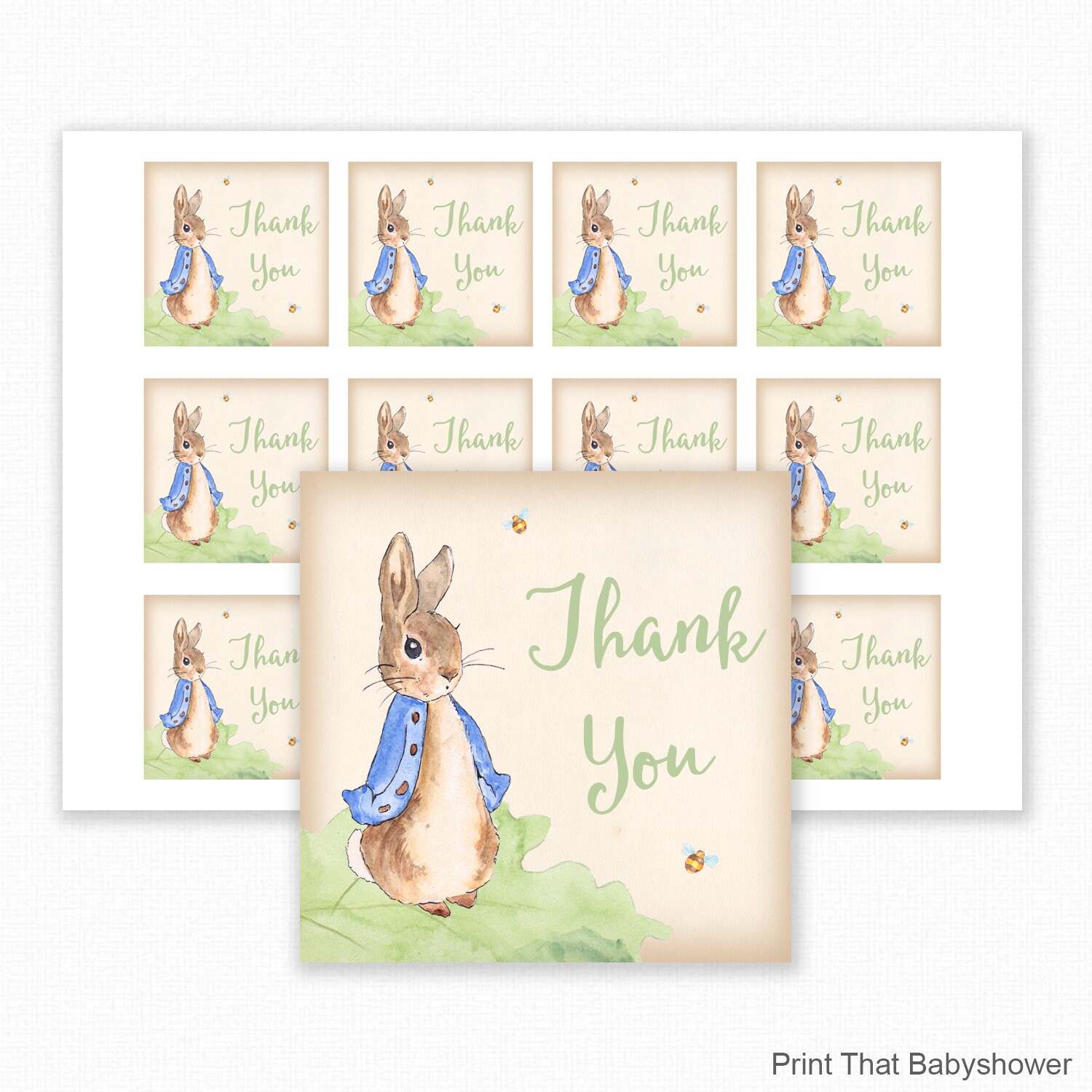 Peter Rabbit Baby Shower Printable Favor Tag Peter Rabbit | Etsy