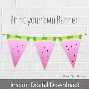 Summer Birthday Banner - Watermelon Party Banner - Watermelon Birthday Bunting - Summer Party Banner - Pink Watermelon
