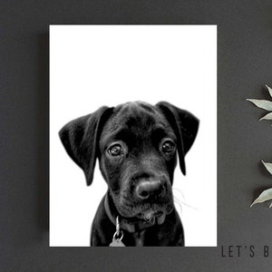 Custom Pet Print - Print Only