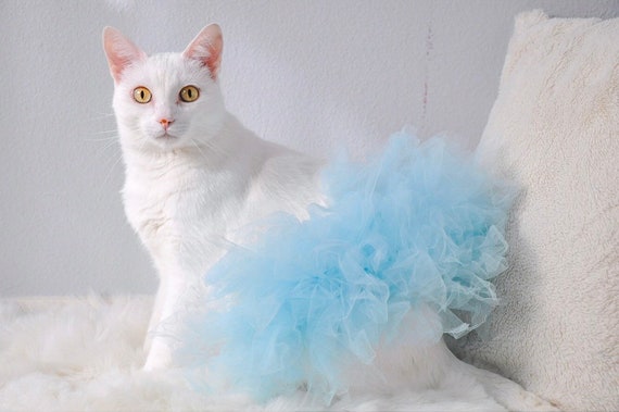 Bébé Chat Bleu Tutu Vêtements De Chat Pour Les Chats Des Vêtements Pour Les Chats Chat De Fournitures Vêtements De Chat Chat Cadeaux Amoureux - 
