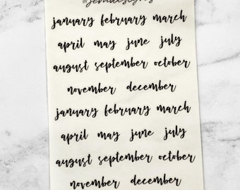 CLEAR Script Month Stickers, Mini Sheet, Functional Planner Stickers, Monthly Planner Stickers, Redate, Journal (C007)