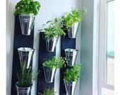 Indoor Wall Planter (one row 3 pots)