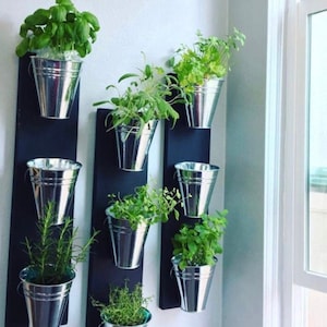 May include: A vertical wall planter with six silver metal pots holding various green plants. The pots are attached to black wooden boards.