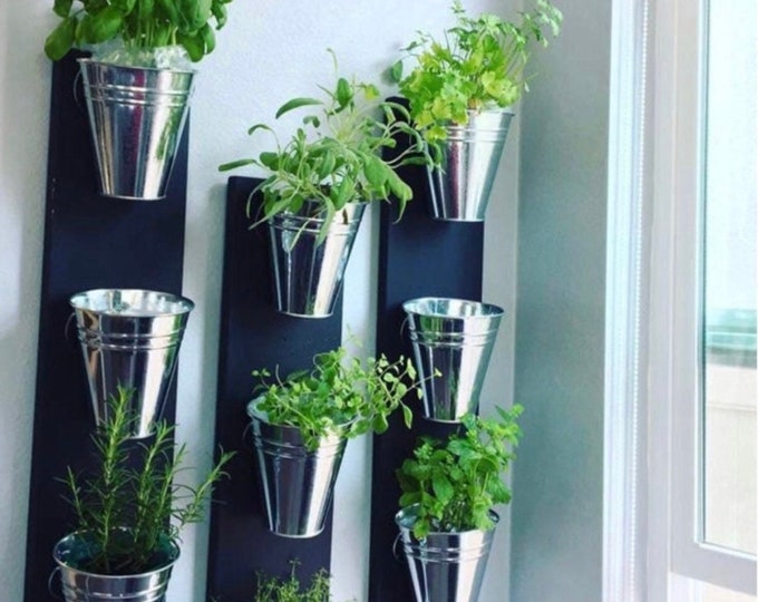 Indoor Wall Planter  (one row 3 pots)