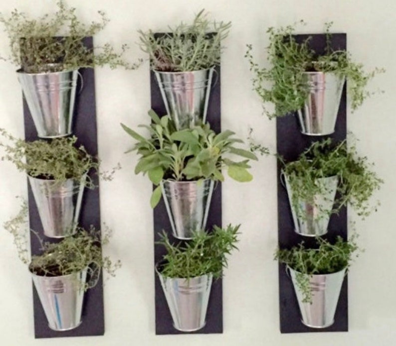 Indoor Wall Planter one row 3 pots image 8