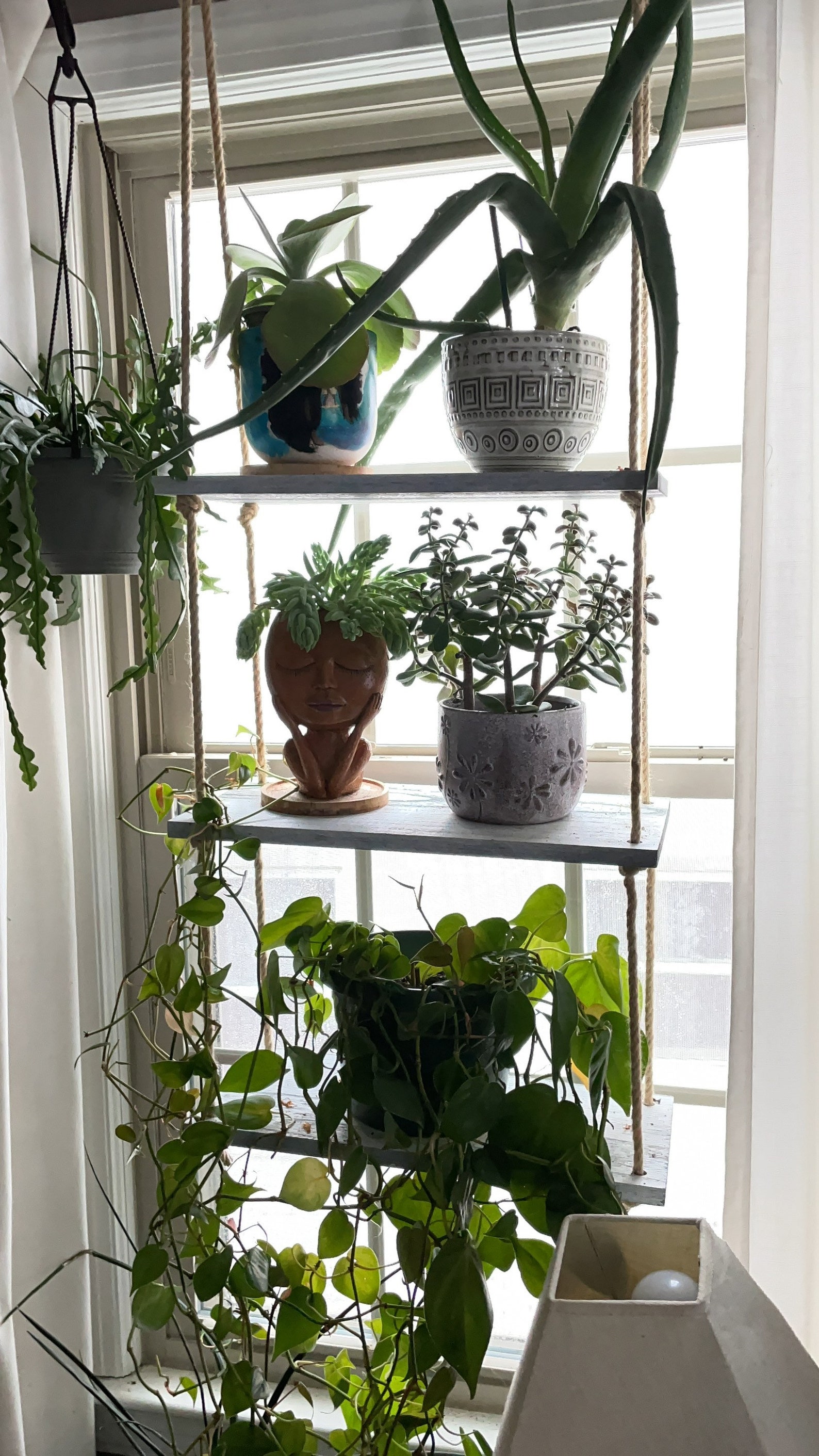 3 Tier Hanging Plant Shelf - Etsy