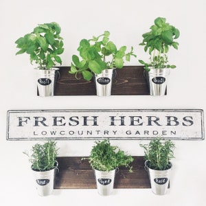 Wall Planter with Chalk Labels
